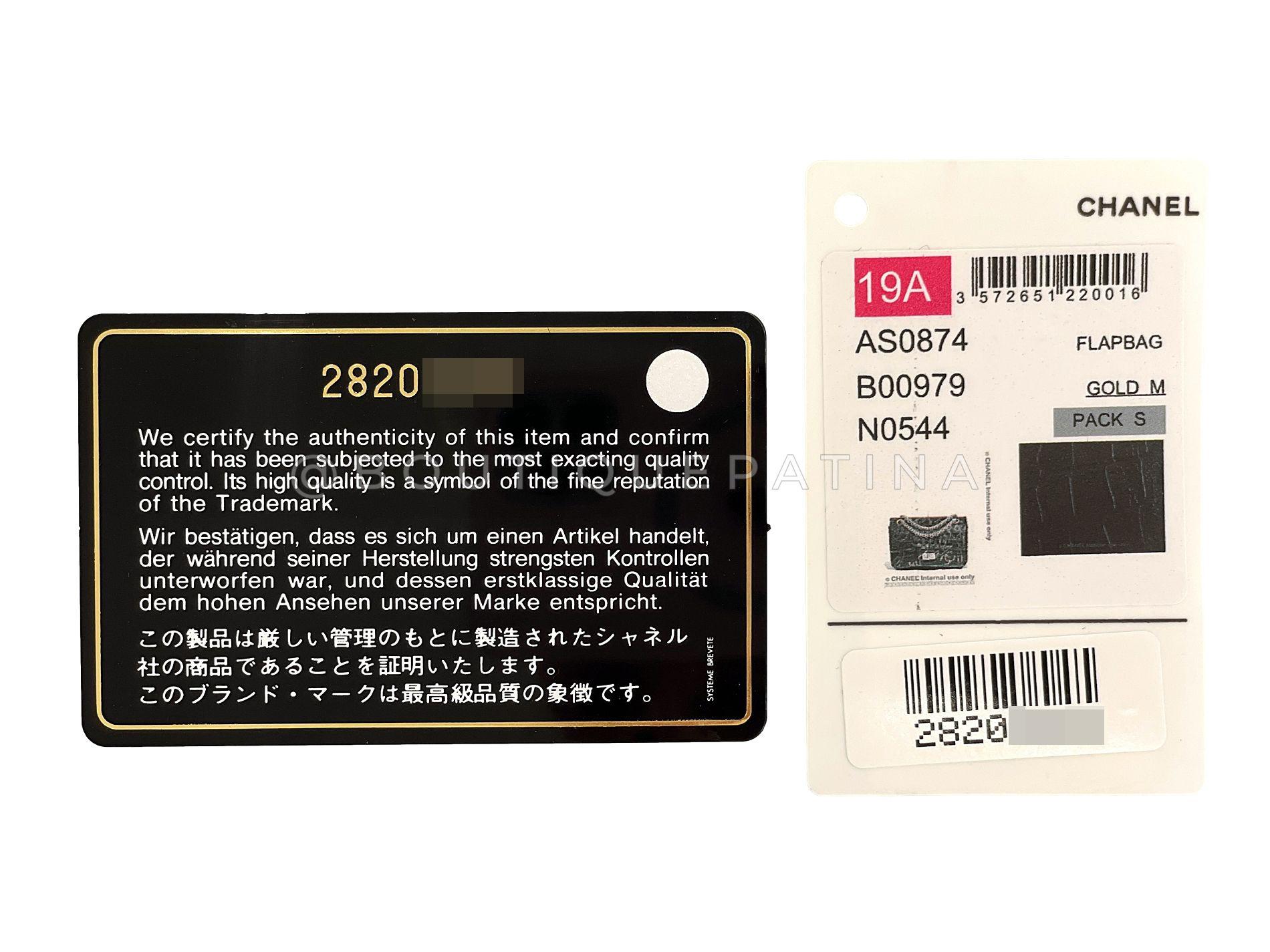 Chanel 19A Egypt Rainbow Graffiti - Mini sac à rabat réédition GHW 68450 en vente 9