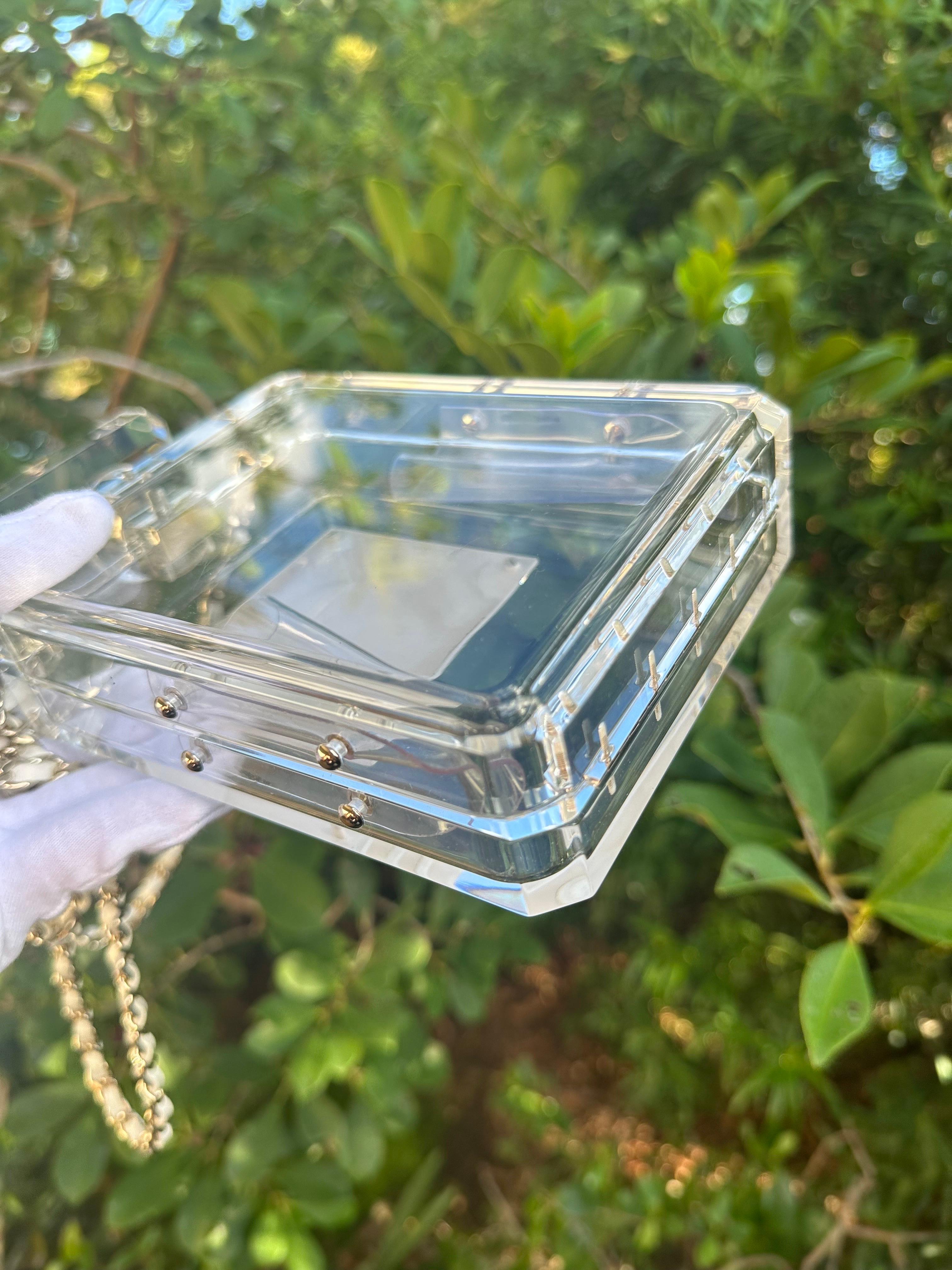 Chanel 2014 Cruise Clear Lucite N°5 Perfume Bottle Clutch 6