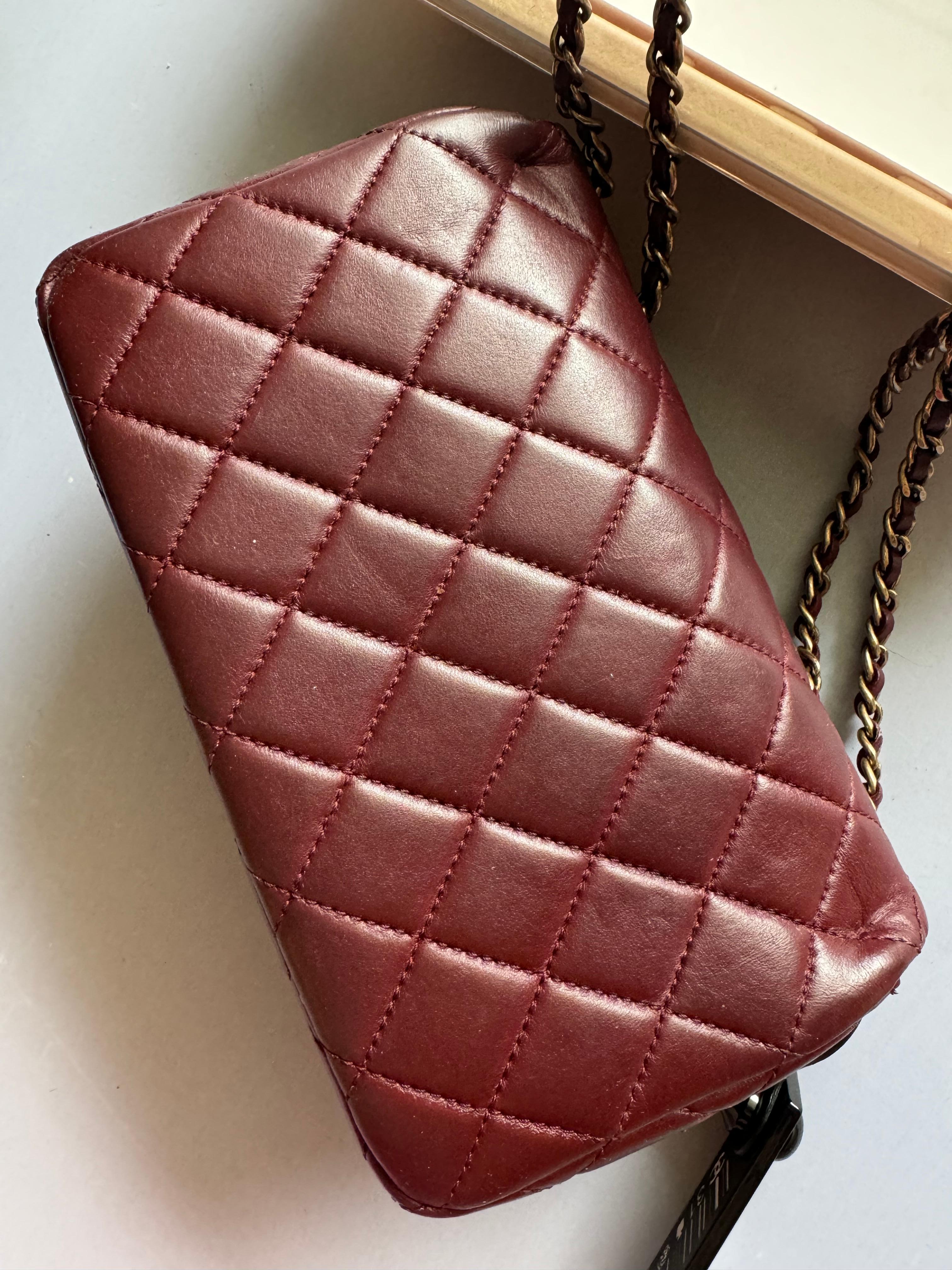 Chanel 2014 Supermarket Meat Flap 11