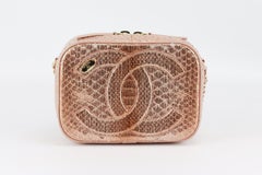 Chanel 2019 Mania Camera Case Metallic Python And Leather Shoulder Bag