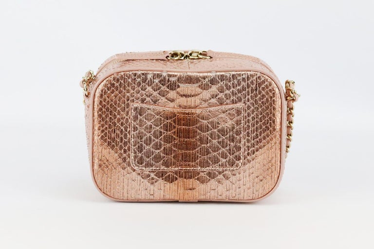 Chanel 2019 Mania Camera Case Metallic Python And Leather Shoulder Bag ...