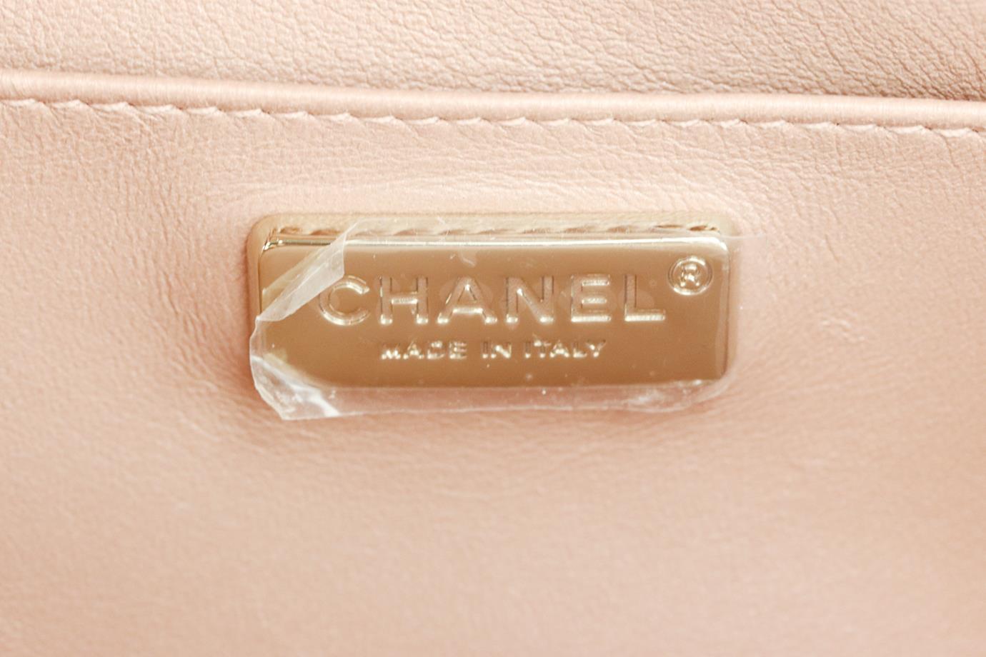 Chanel 2019 Mania Camera Case Metallic Python And Leather Shoulder Bag For Sale 4