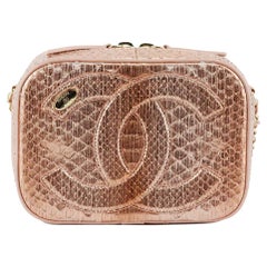 Chanel 2019 Mania Camera Case Metallic Python And Leather Shoulder Bag