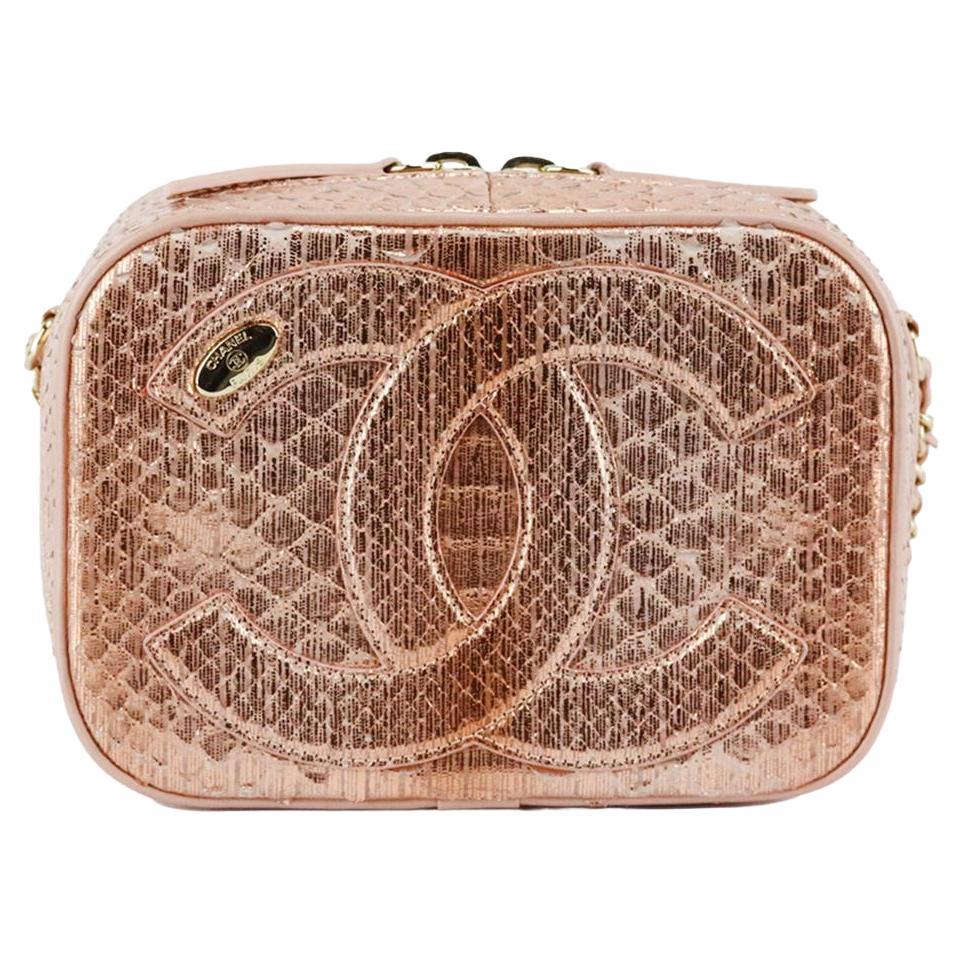 Chanel 2019 Mania Camera Case Metallic Python And Leather Shoulder Bag For Sale