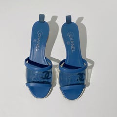 Chanel 2019 Spring Blue Transparent Mules