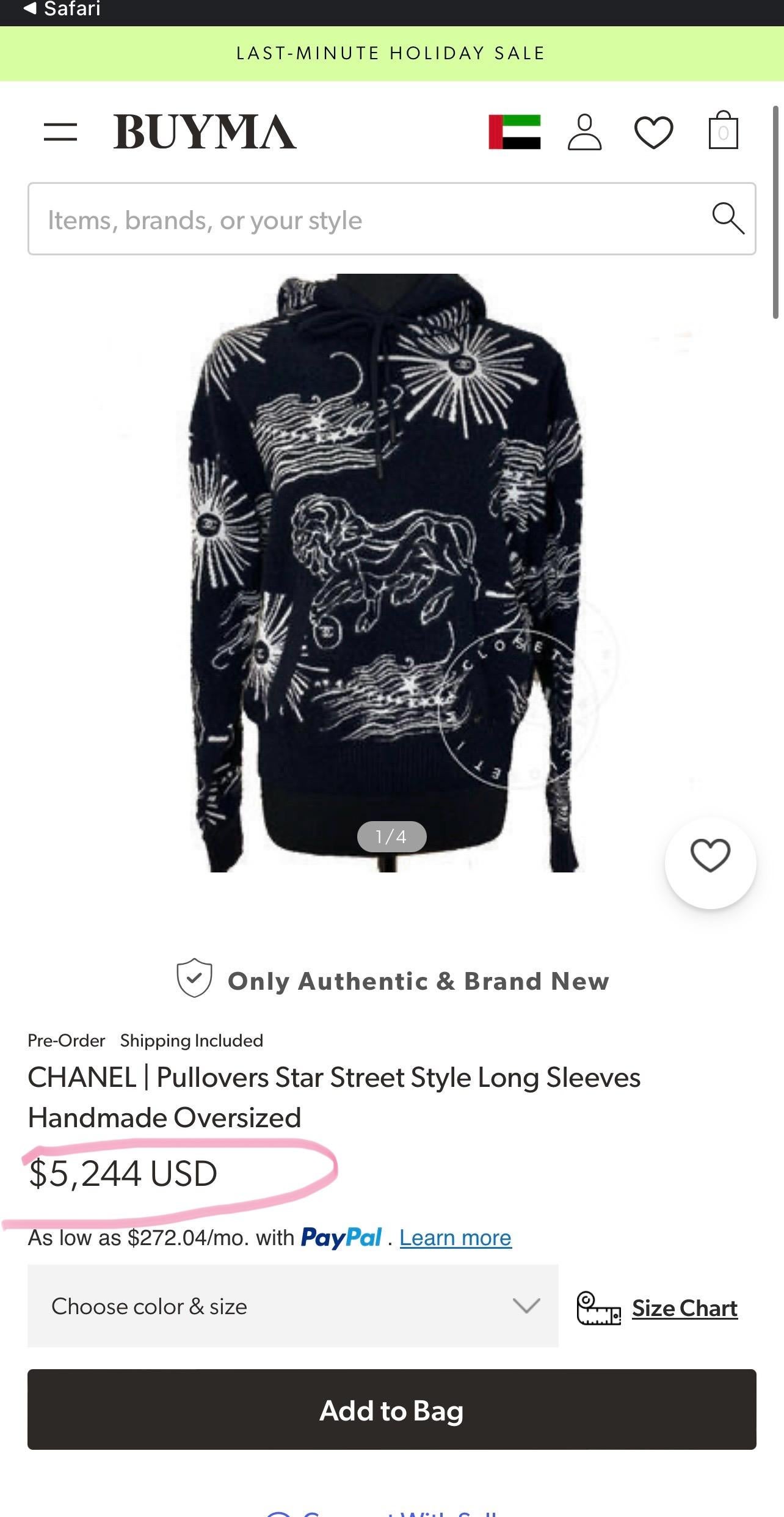 Women's or Men's Chanel 2022 New Iconic CC Lions Hoodie