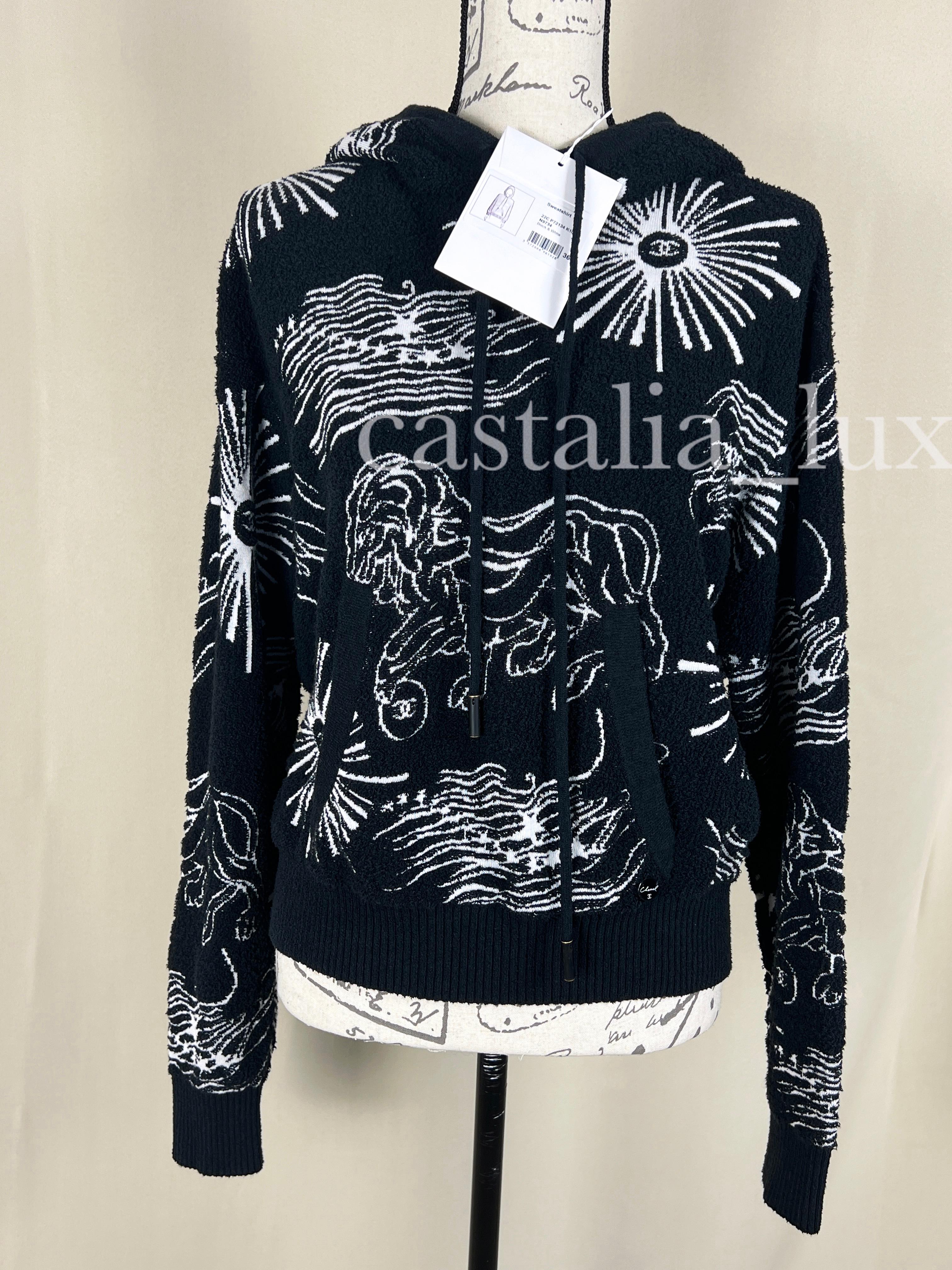 Chanel 2022 New Iconic CC Lions Hoodie For Sale 1