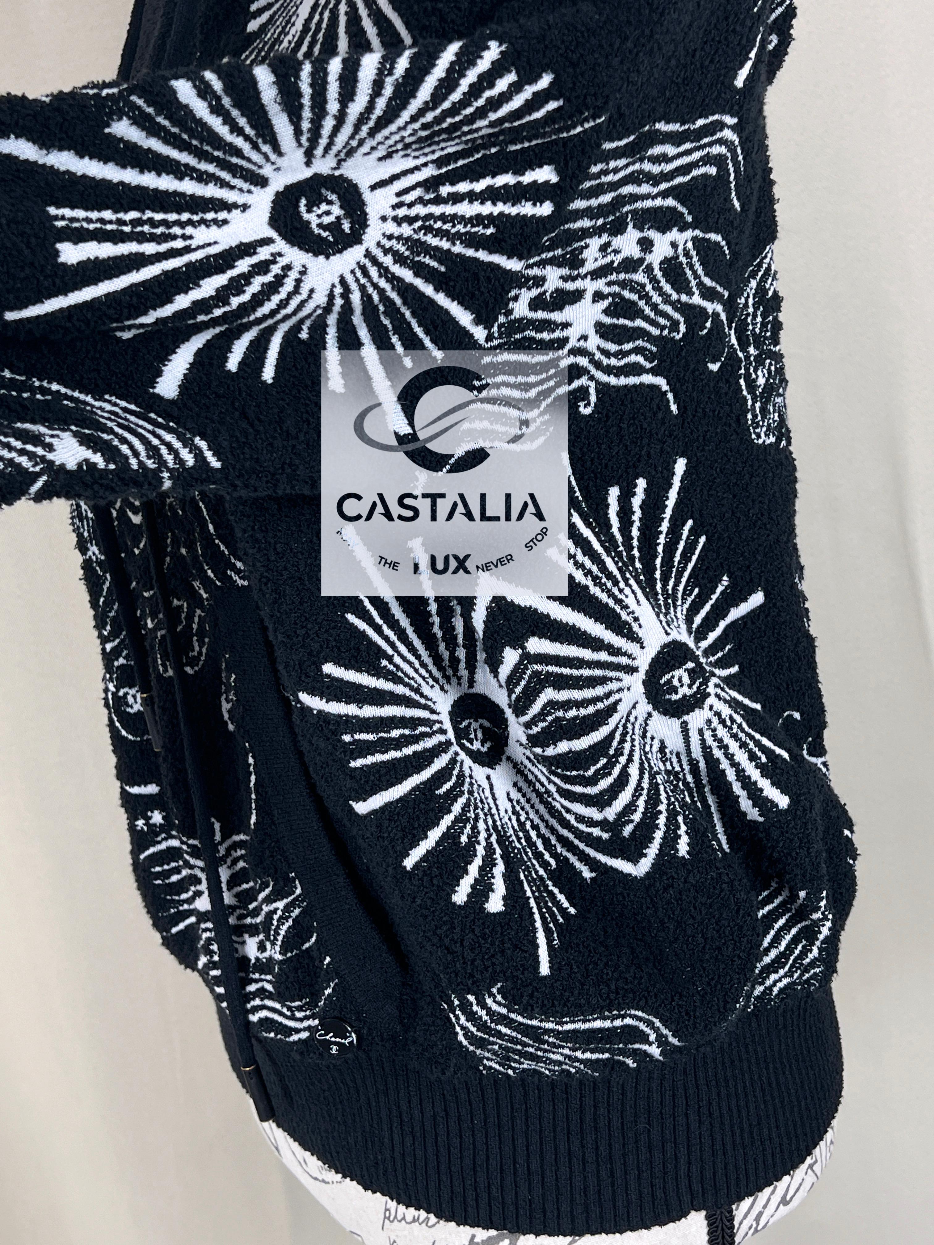 Chanel 2022 New Iconic CC Lions Hoodie 4