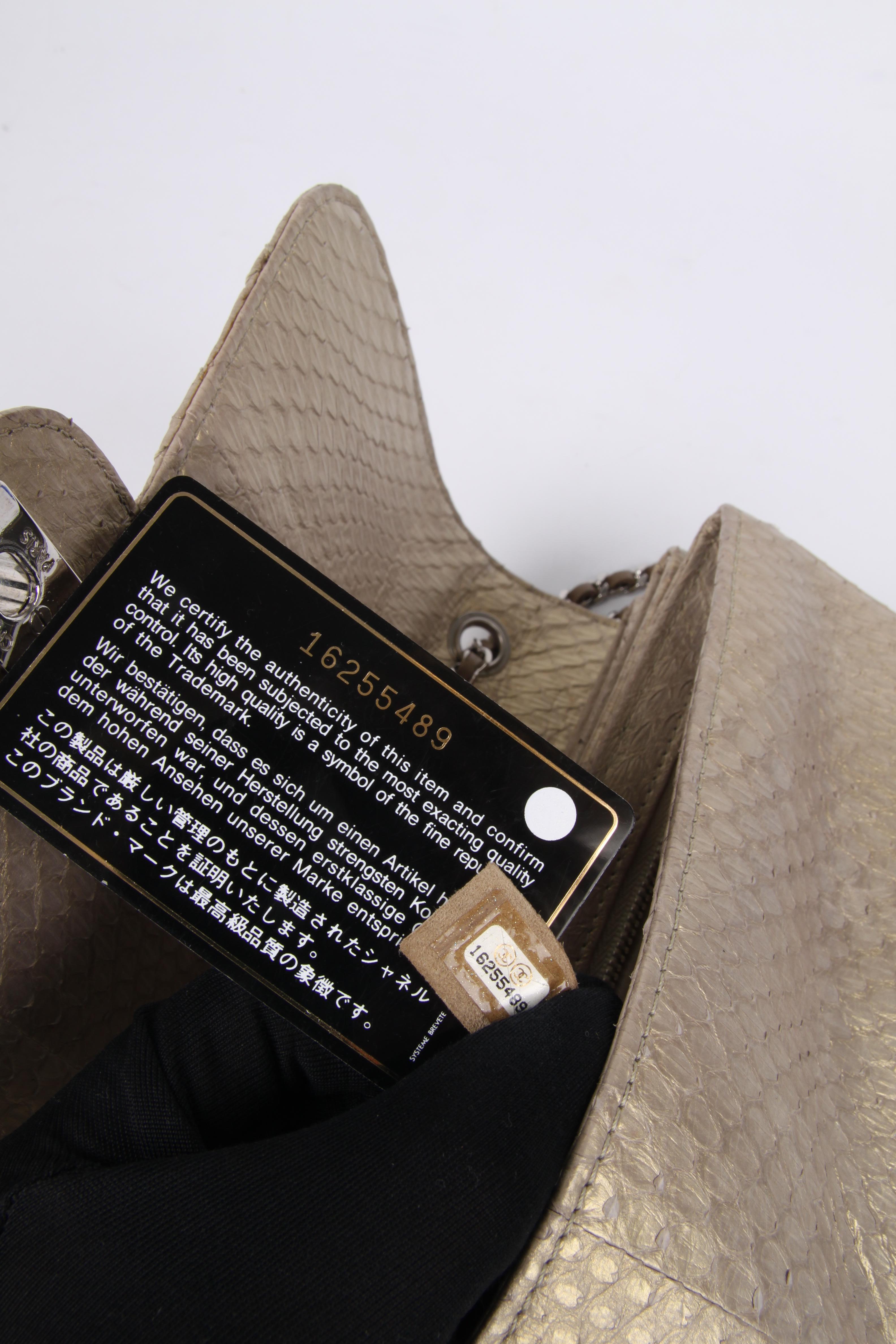 Chanel Accordeon Flap Bag Python Leather - greenish matte gold 3