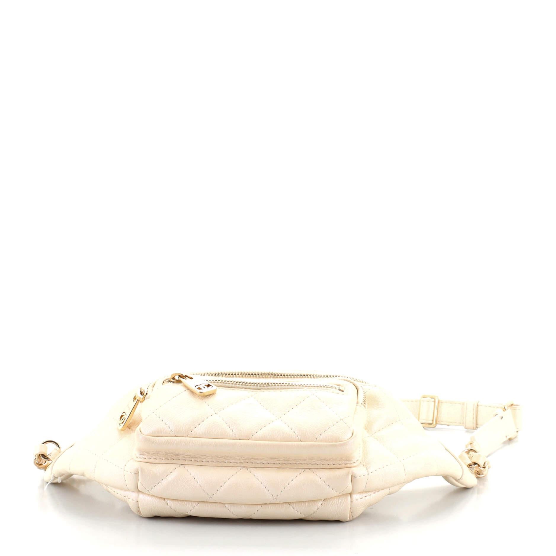 Femenino o masculino Chanel All About riñonera acolchada de piel de becerro iridiscente pequeña
