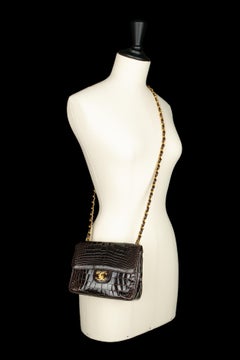 Chanel bag by Karl Lagerfeld 2010-2011