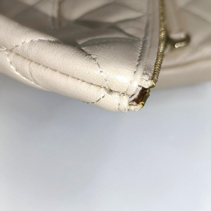 Chanel Beige Iridescent Lambskin Quilted Pouch with Mini Flap Purse 9