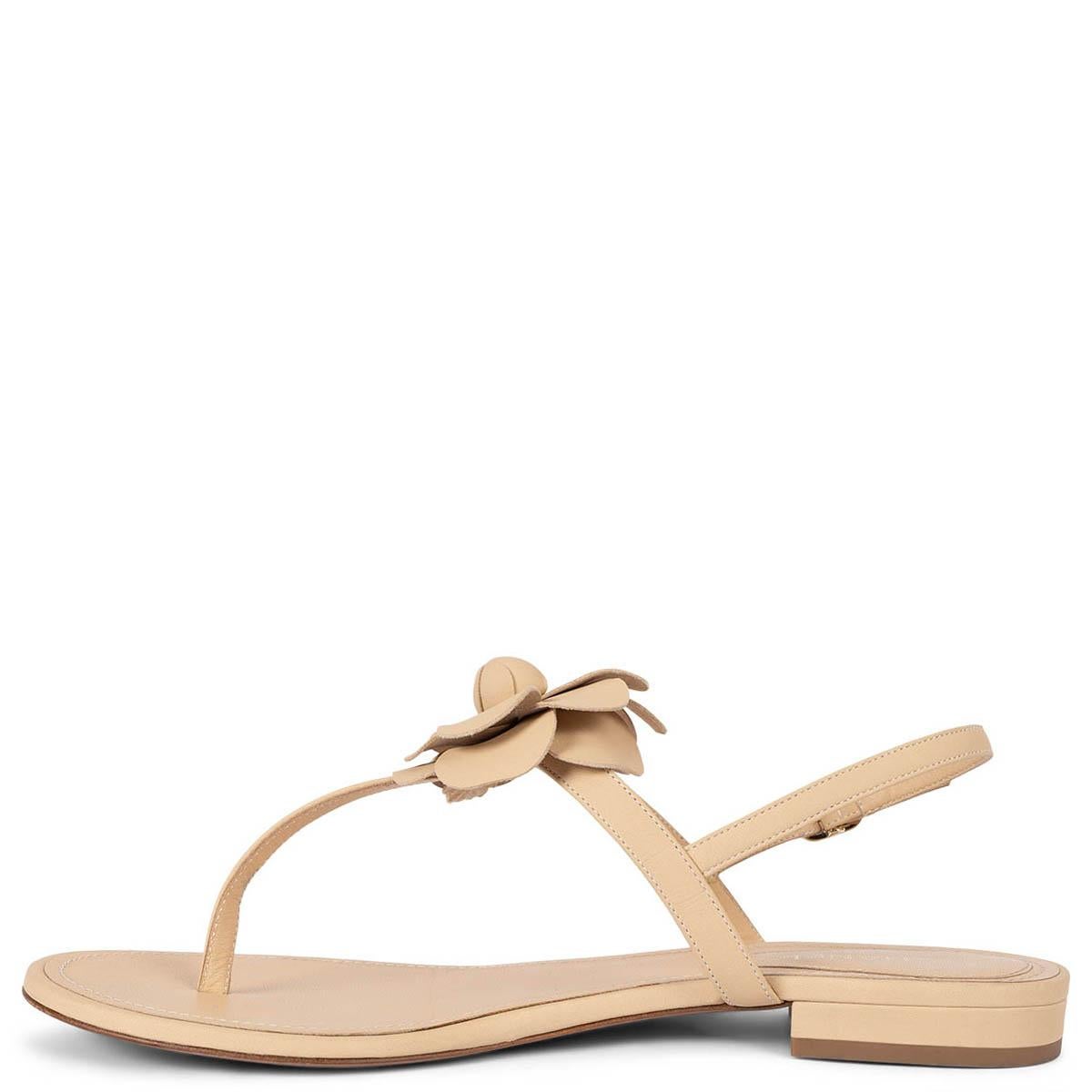 Women's CHANEL beige leather 2019 19S CAMELLIA THONG Sandals Shoes 40.5 fit 39.5