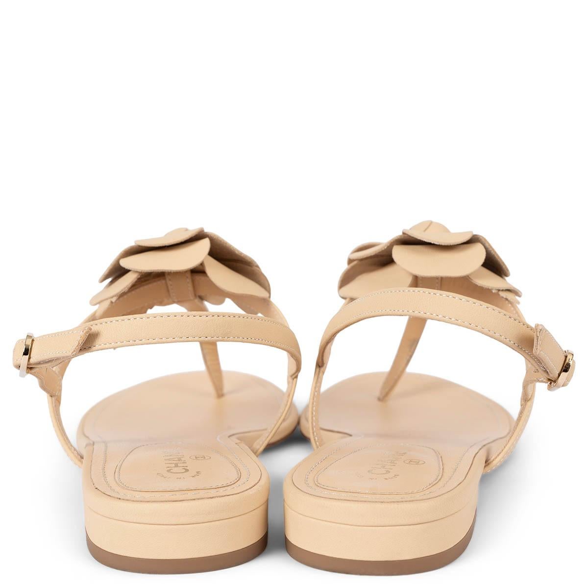 CHANEL beige leather 2019 19S CAMELLIA THONG Sandals Shoes 40.5 fit 39.5 1