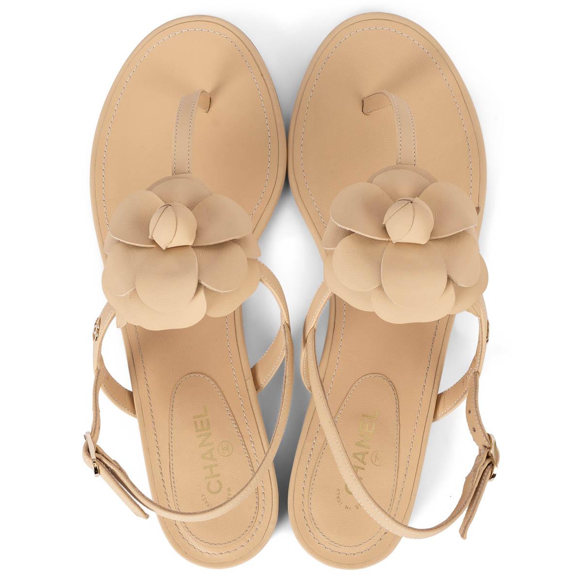 CHANEL beige leather 2019 19S CAMELLIA THONG Sandals Shoes 40.5 fit 39.5 2