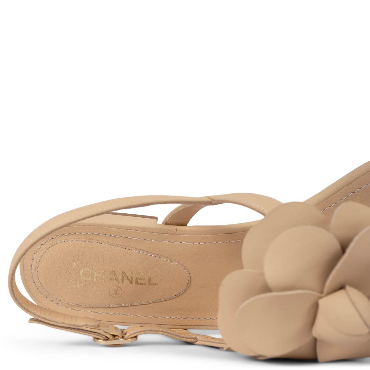 CHANEL beige leather 2019 19S CAMELLIA THONG Sandals Shoes 40.5 fit 39.5 3