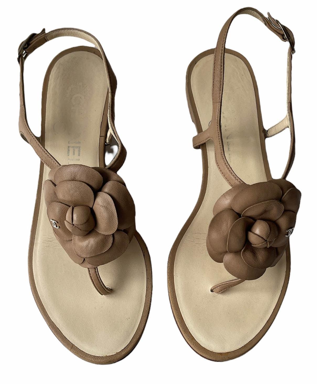 Chanel Beige Leather Camelia CC Thong Sandals sz 35.5

Made In: Italy
Color: Beige
Hardware: Silvertone
Materials: Leather
Closure/Opening: Adjustable buckle
Overall Condition: Very good.  Wear to soles and throughout leather.

Marked Size: 35.5