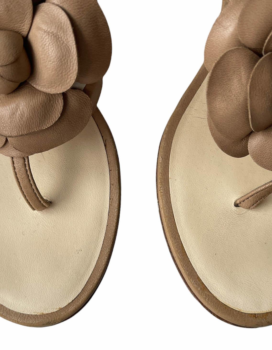Chanel Beige Leather Camelia CC Thong Sandals sz 35.5 2
