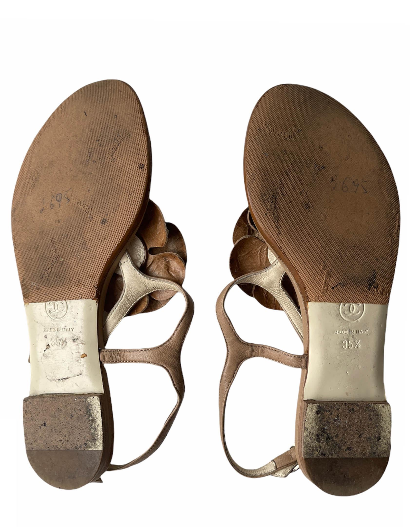 Chanel Beige Leather Camelia CC Thong Sandals sz 35.5 5