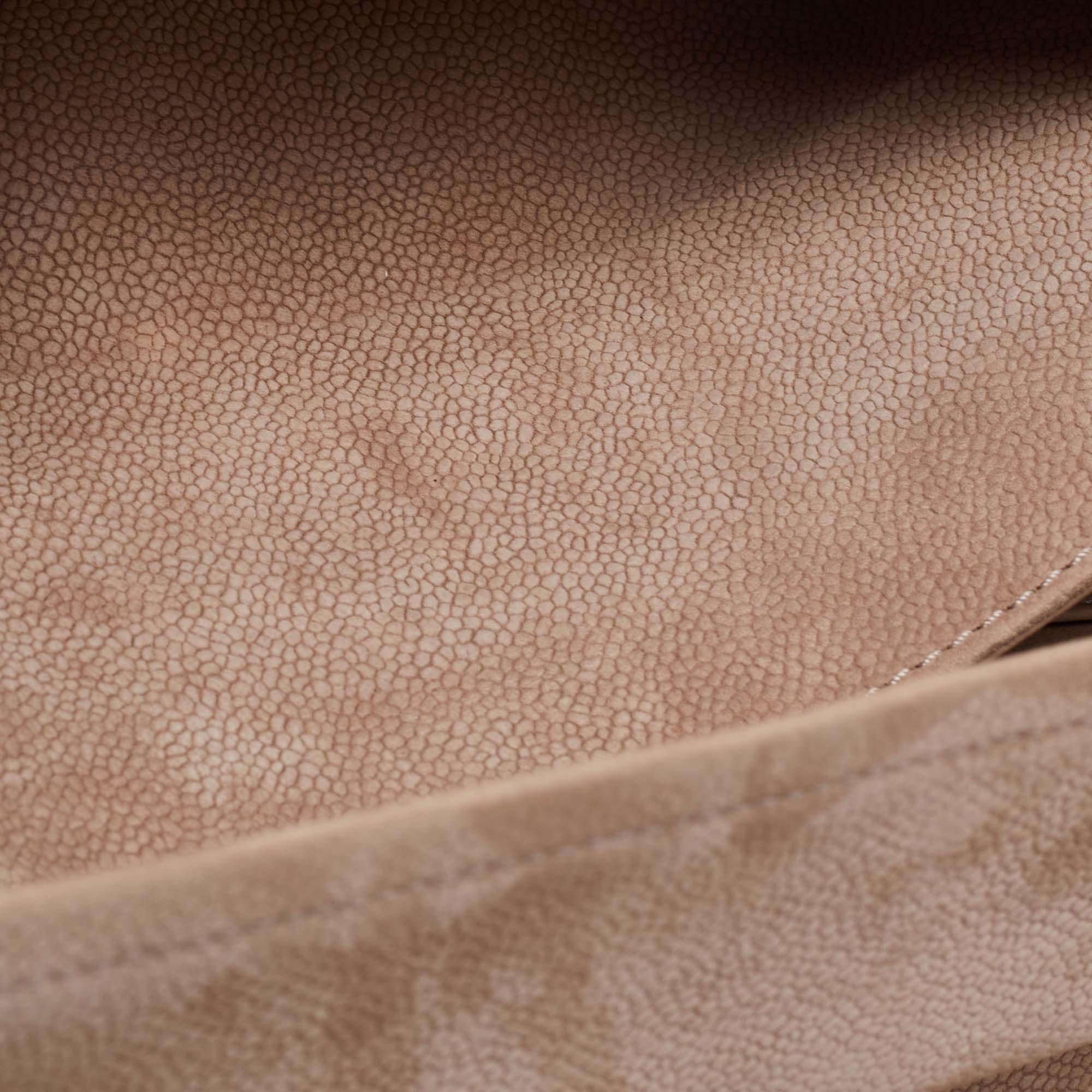 Chanel Beige Quilted Caviar Nubuck Leather Reissue 2.55 Classic 226 Flap Bag 2