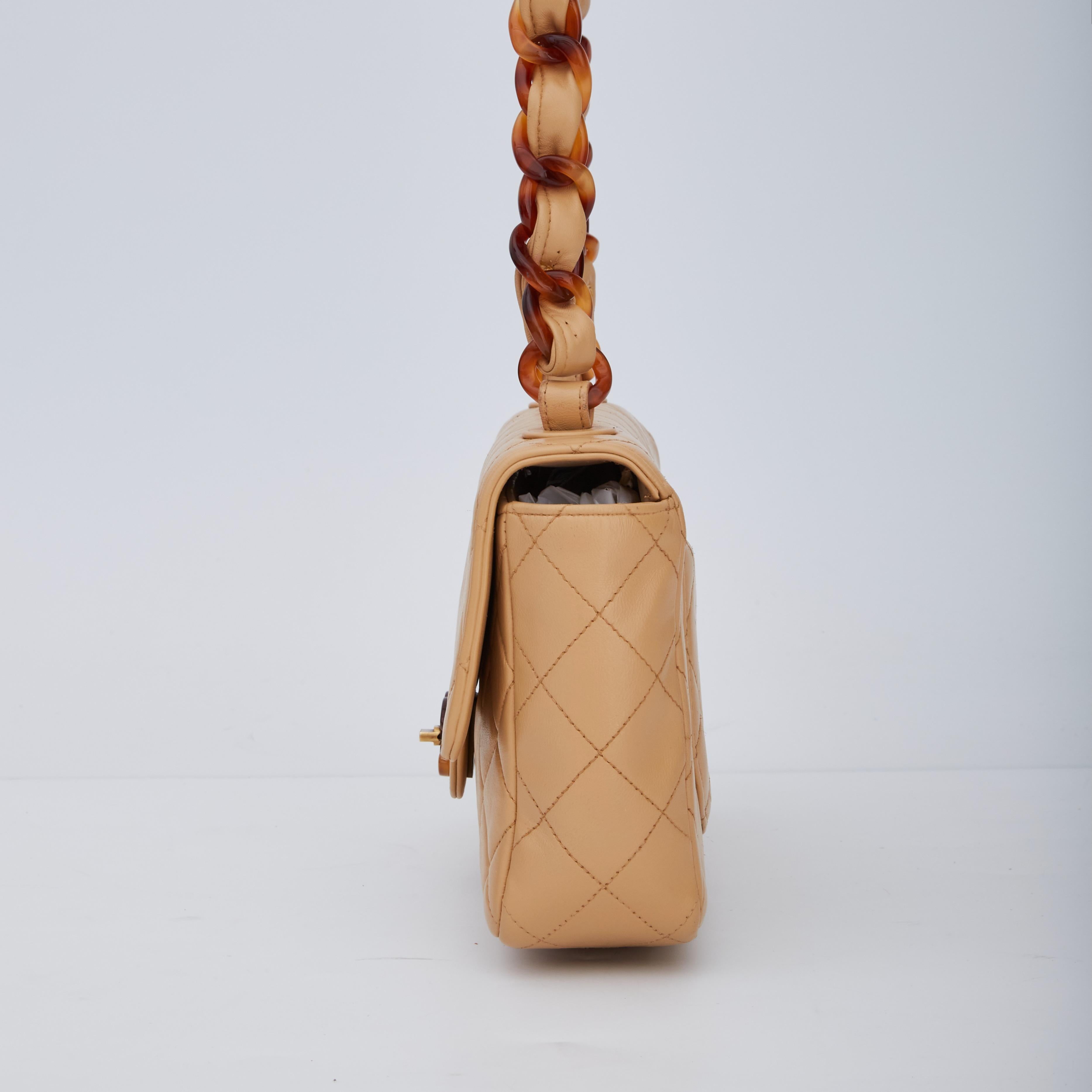 chanel tortoise bag