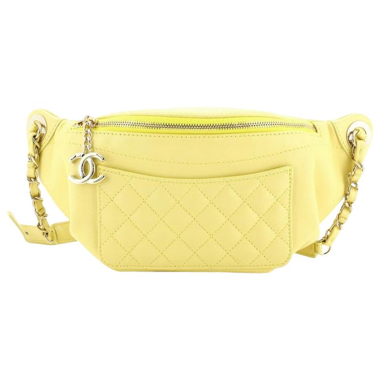 Chanel Bi Classic Waist Bag Quilted Lambskin at 1stDibs