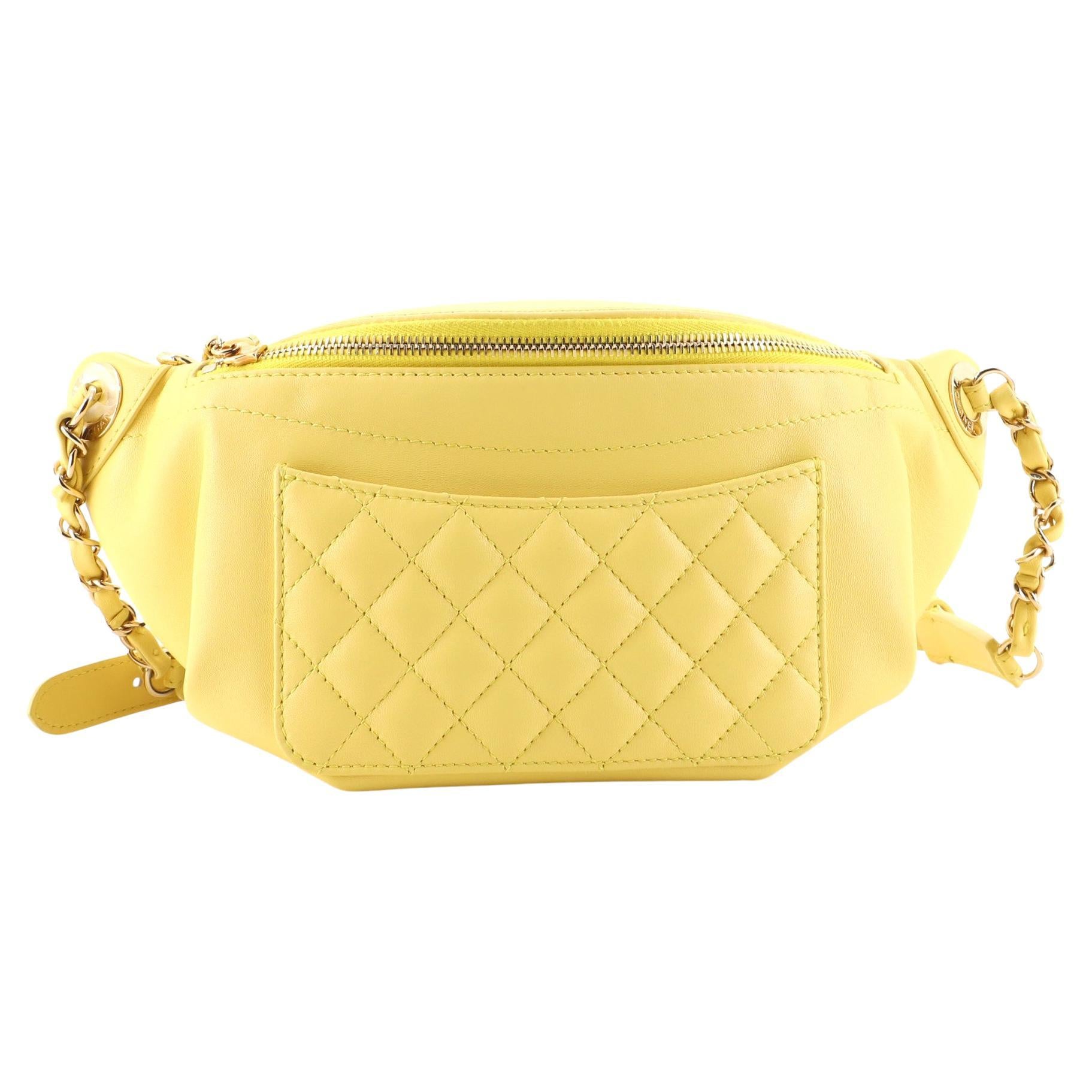 Chanel Bi Classic Waist Bag - For Sale on 1stDibs