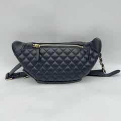 CHANEL Bi Classic Waist Bag Quilted Leather Fanny Pack Belt Bag