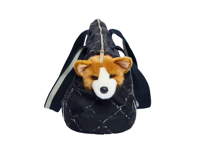 Chanel Black Carry on and Dog Carrier Set at 1stDibs