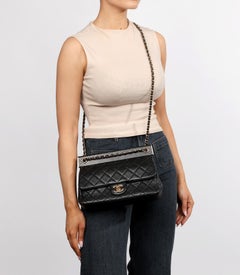 Chanel Black Lambskin & Snakeskin Leather Frame Medium Classic Single Flap Bag