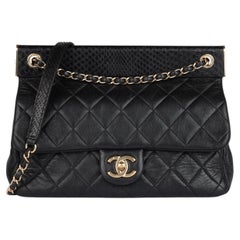 Chanel Black Lambskin & Snakeskin Leather Frame Medium Classic Single Flap Bag