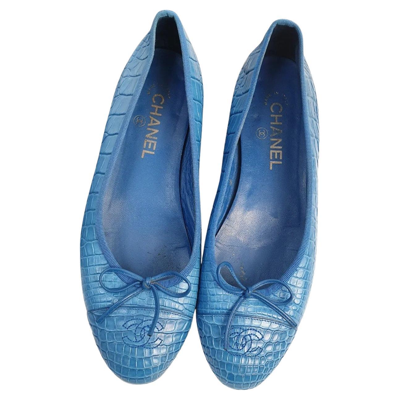 Ballerine Chanel in alligatore blu CC Sz. 40.5