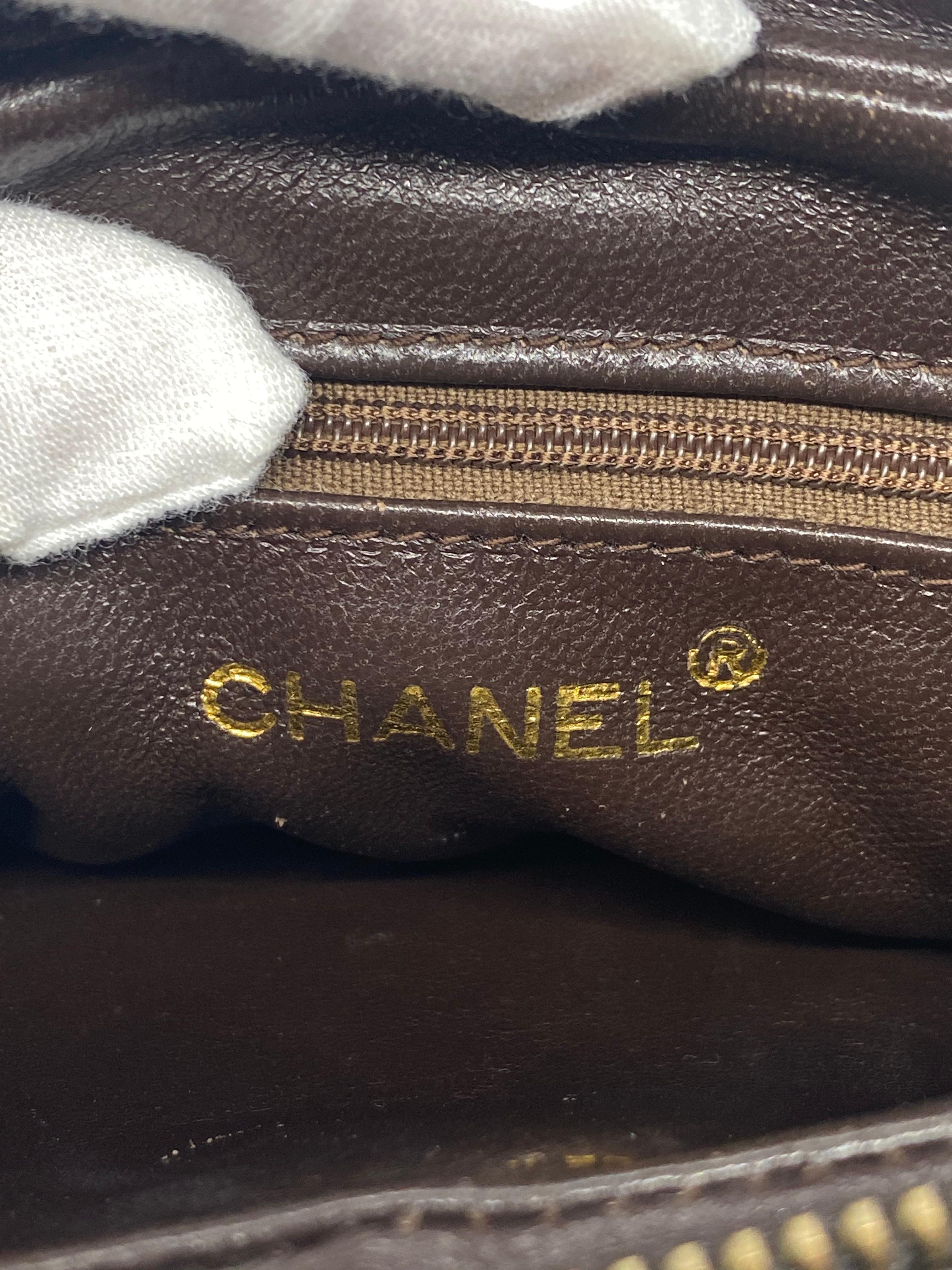 Chanel Brown Lizard Vintage Camera Tassel Bag with Gold Hardware 1