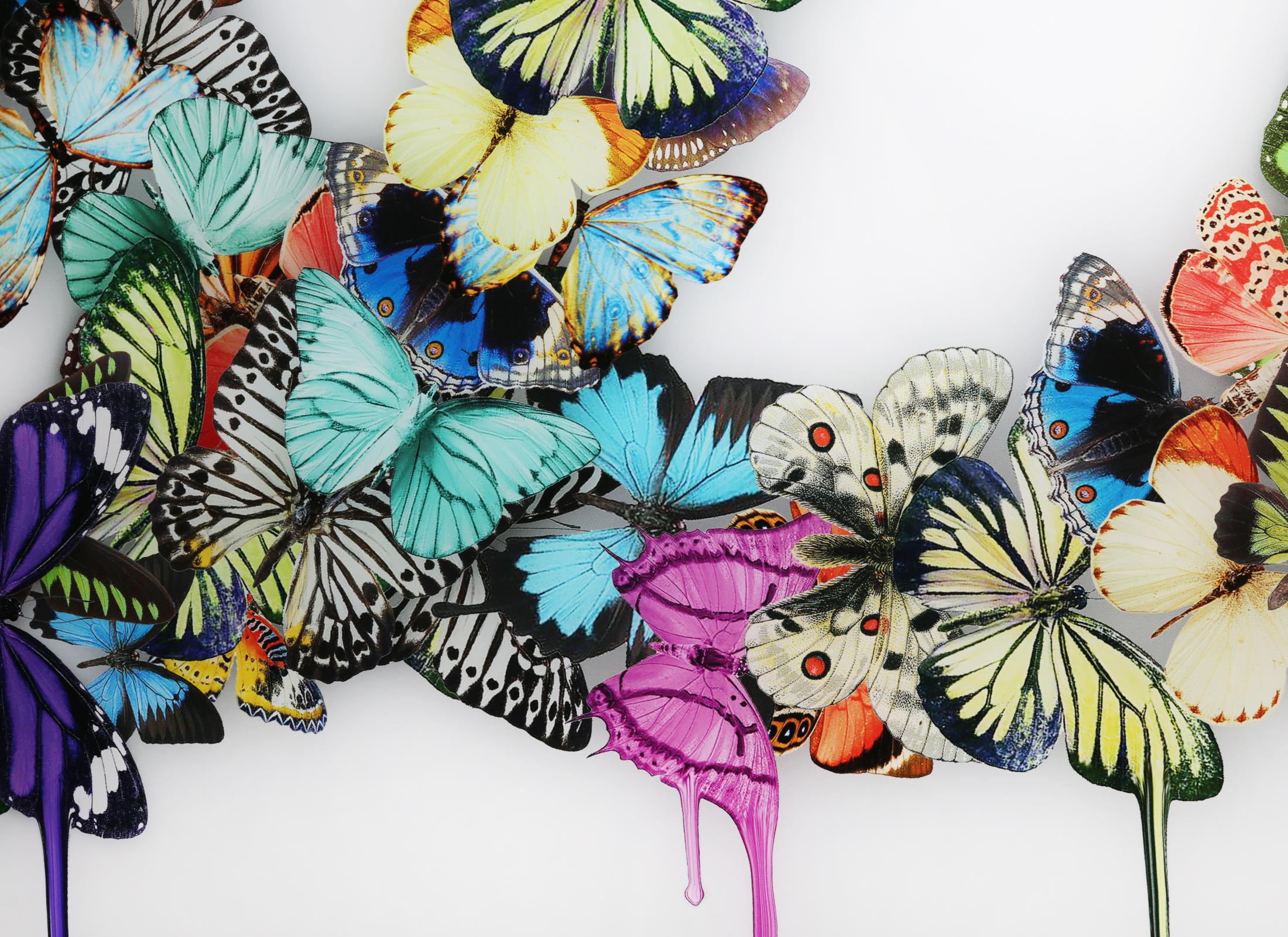 Hand-Crafted Butterflies Plexiglass Wall Decoration in the Style of Chanel