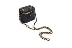 Chanel Camellia Vanity Case Bag BN