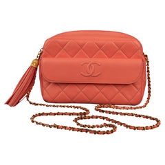 Chanel camera bag by Virginie Viard 2020