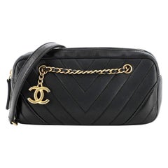 Chanel Camera Bag Chevron Iridescent Calfskin Small