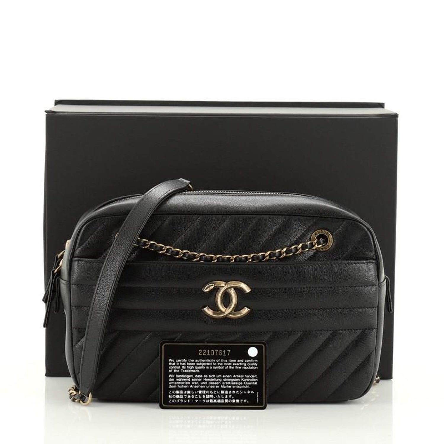 Chanel Camera Bag Diagonal Quilted Goatskin Small At 1stdibs