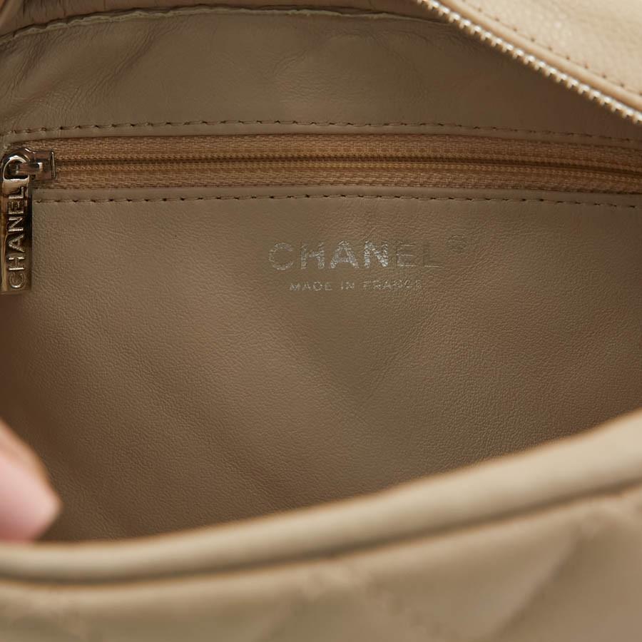 CHANEL Camera Bag in Beige Leather 5