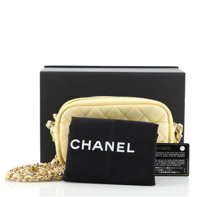 Chanel Camera Case Bag Quilted Iridescent Caviar Mini at 1stDibs