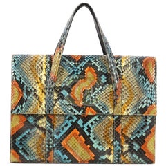Chanel CC Flat Handle Bag Python Mini