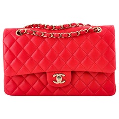 Chanel Classic Double Flap Bag Quilted Lambskin Medium