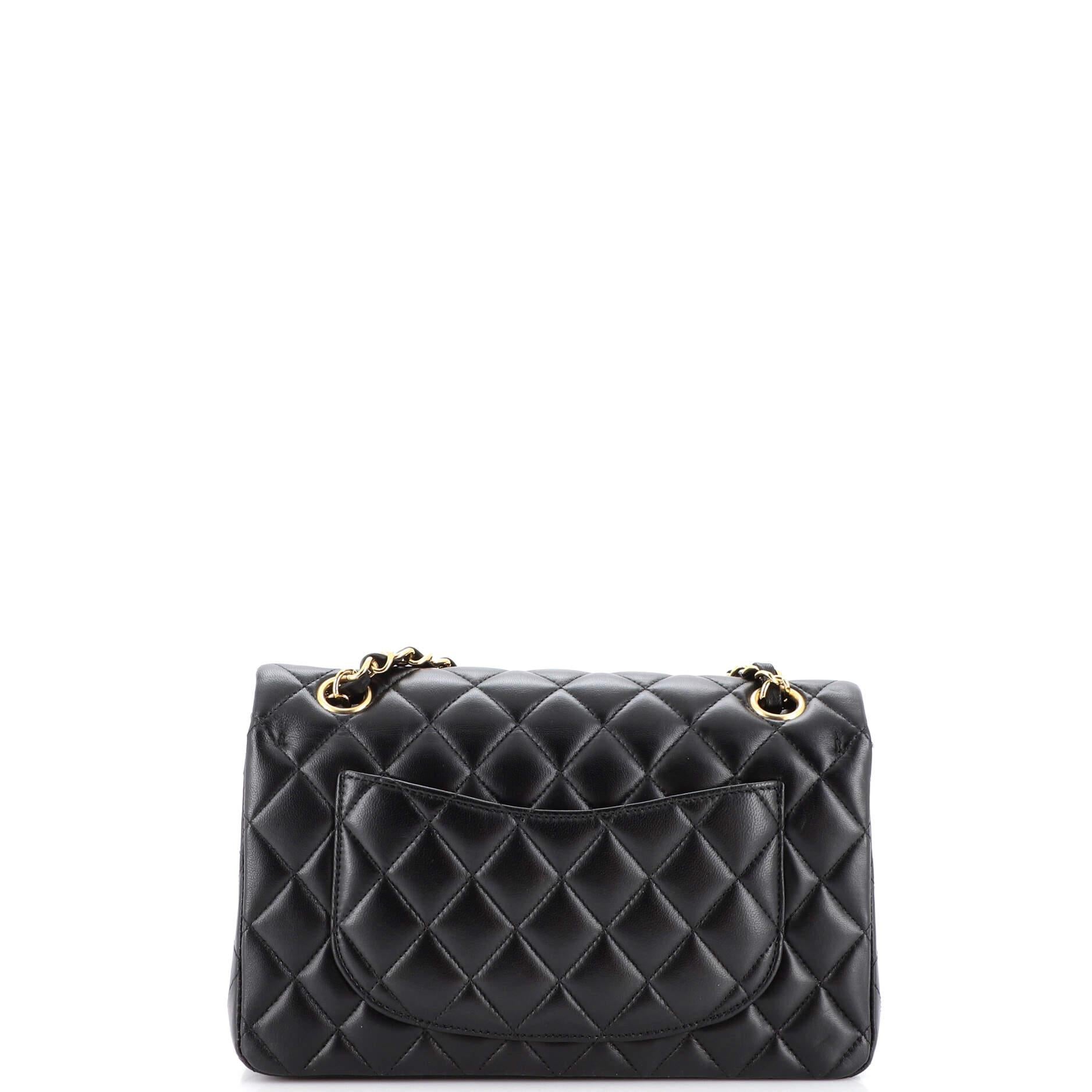 Women's or Men's Chanel Classic Double Flap Bag Quilted Lambskin Small