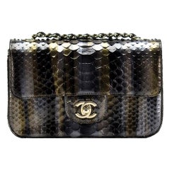 Chanel 2014 Dallas Métiers d'Art Ombré Python Rare Classic Flap Bag