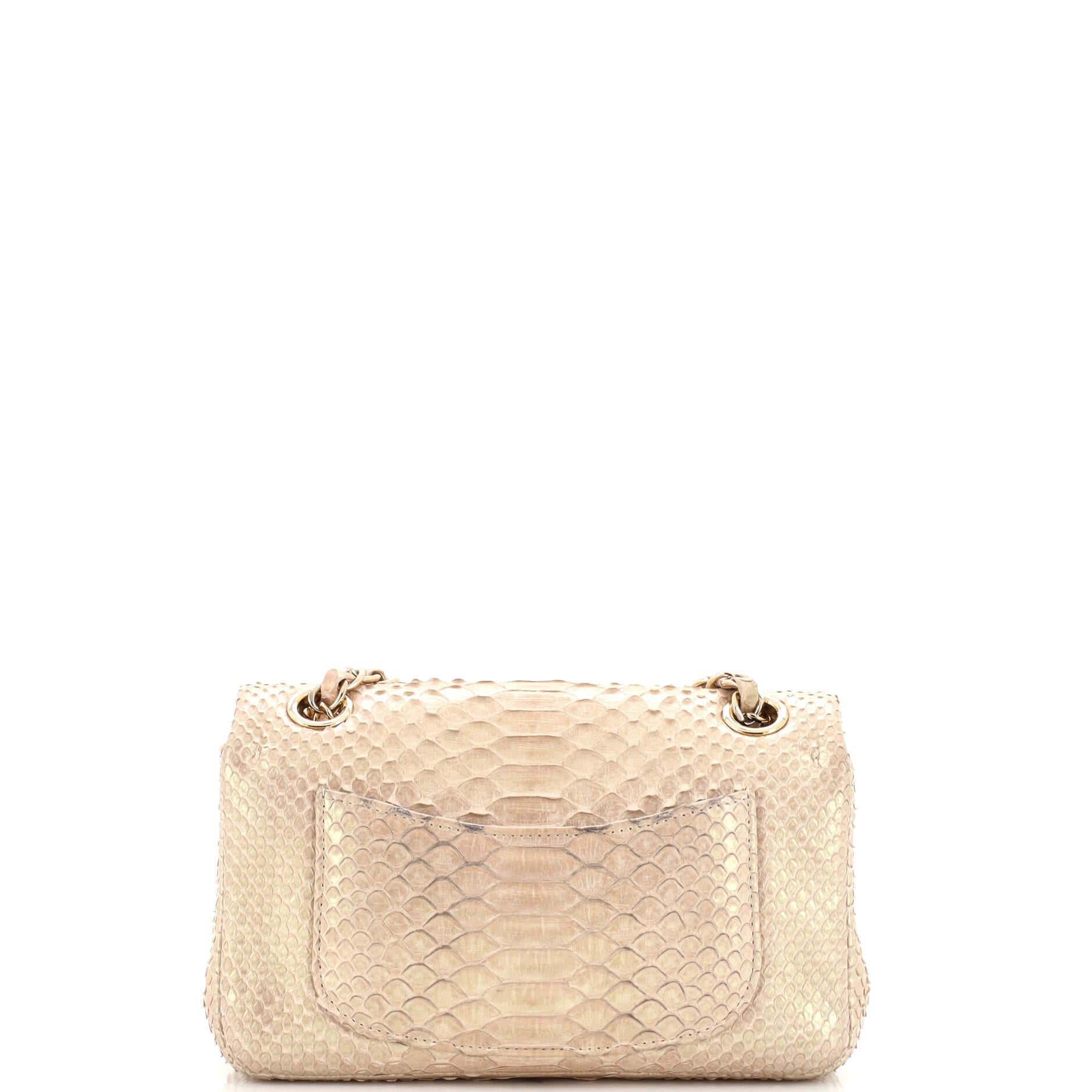 Women's Chanel Classic Single Flap Bag Iridescent Python Mini