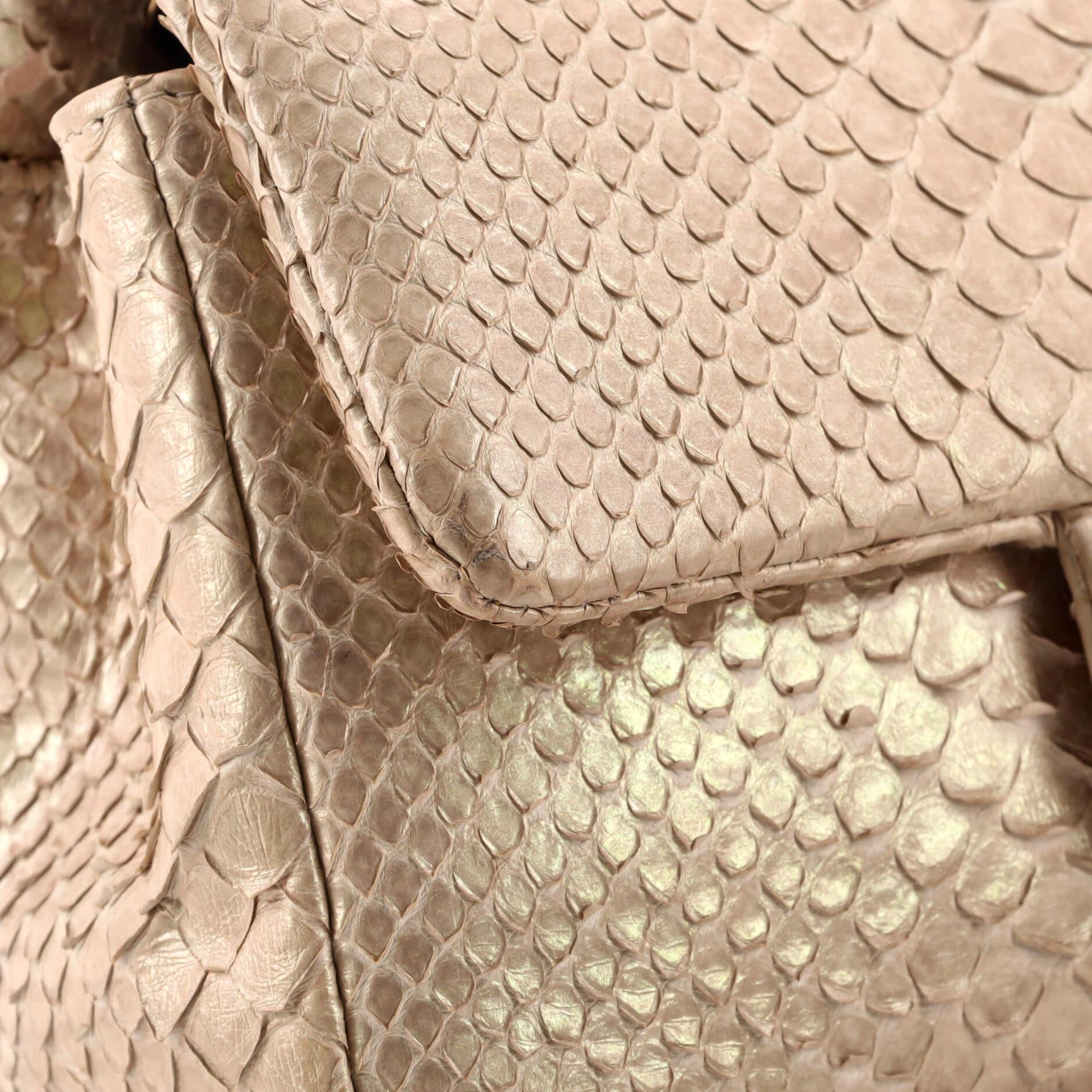 Chanel Classic Single Flap Bag Iridescent Python Mini 3