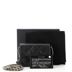 Chanel Classic Zip Around Card Holder on Chain Quilted Caviar Mini