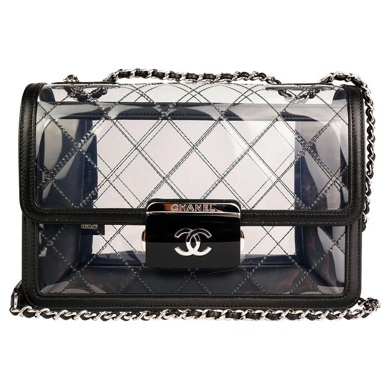 Chanel Clear Transparent PVC Naked Beauty Lock Crossbody Classic Flap Bag  For Sale at 1stDibs