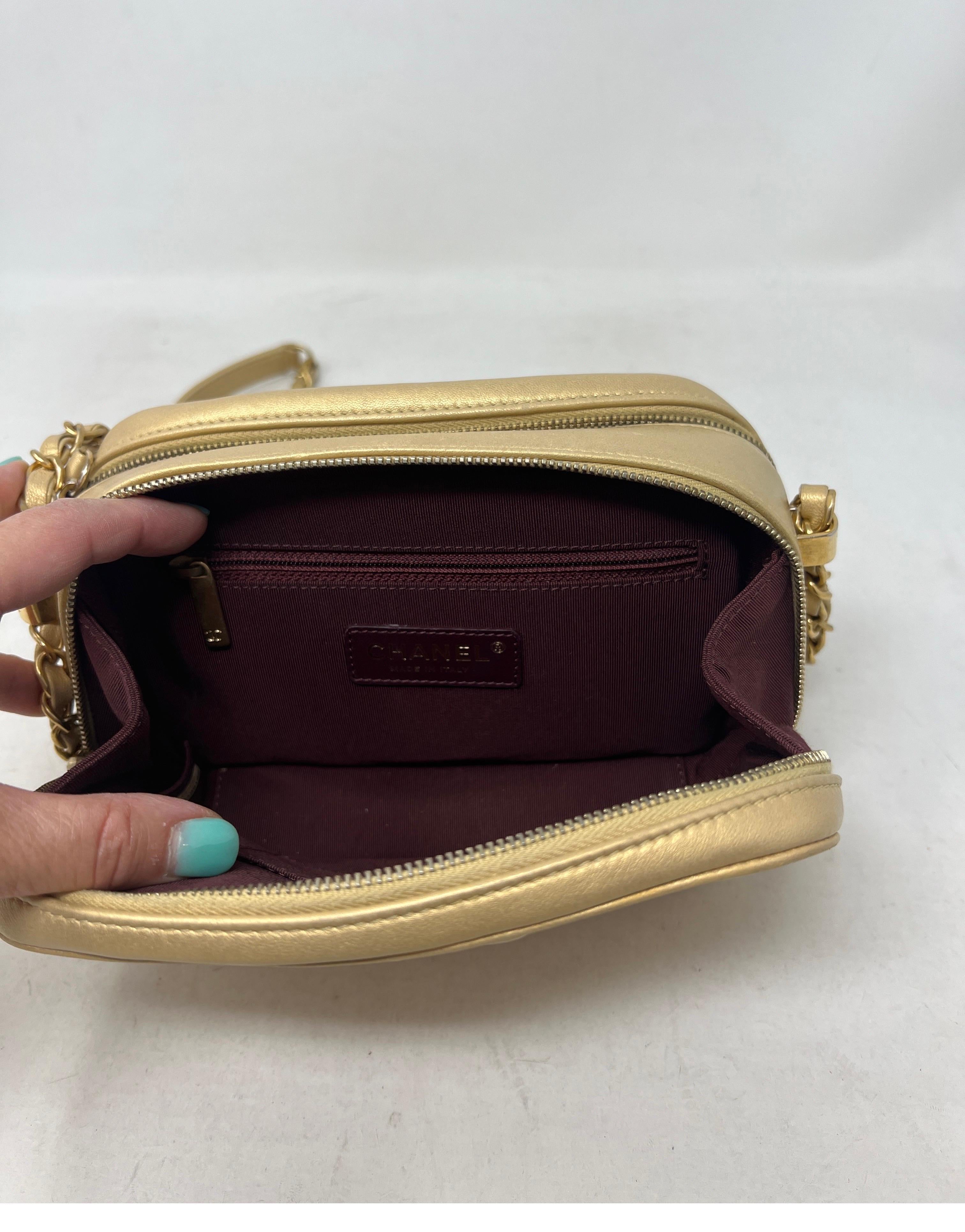Chanel Coco Boy Gold Camera Case Bag 5