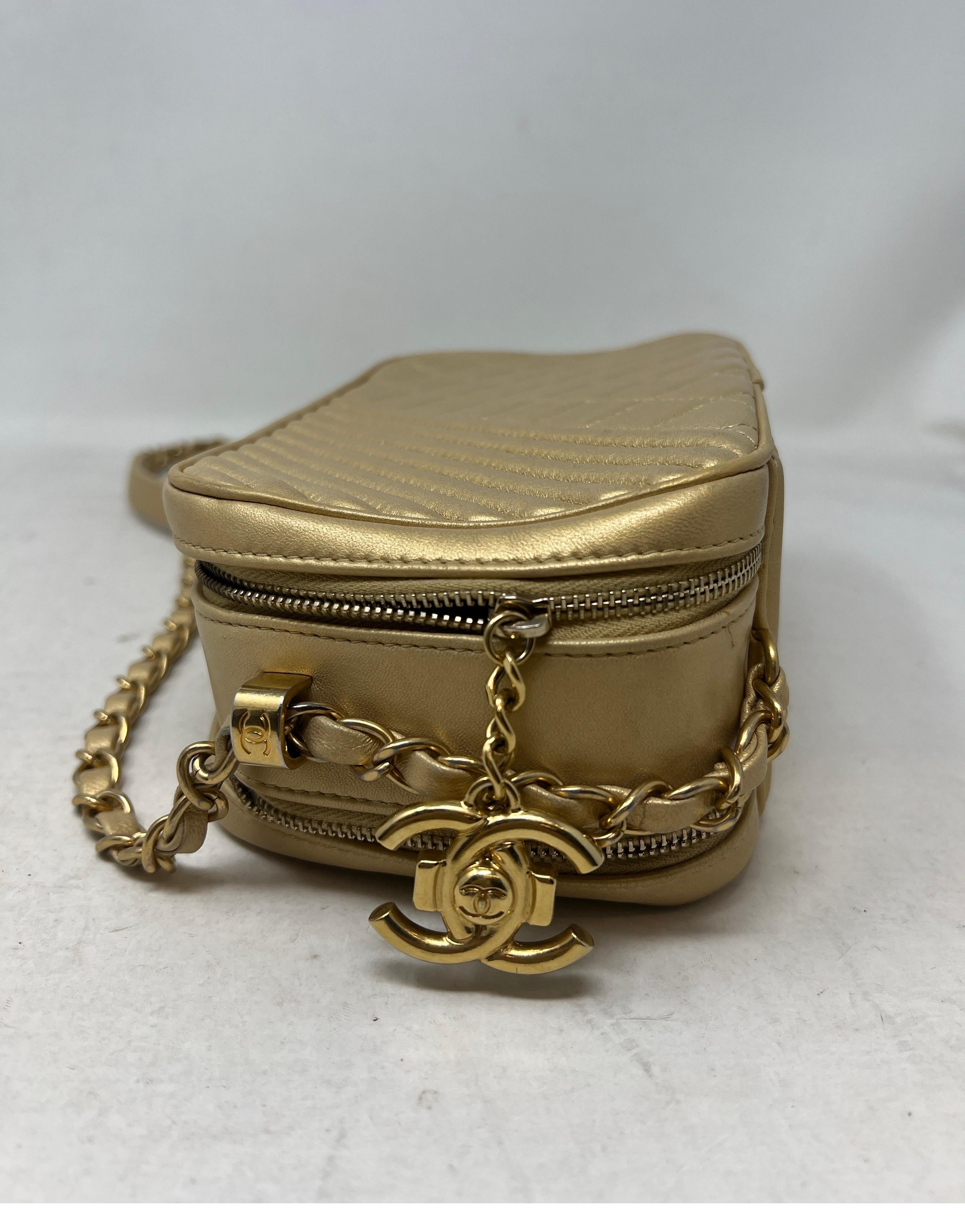 Chanel Coco Boy Gold Camera Case Bag 14